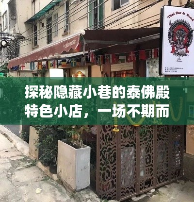 探秘泰佛殿隱藏小巷的特色小吃盛宴，味蕾的不期而遇之旅