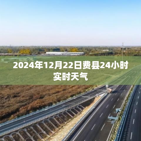 費(fèi)縣天氣預(yù)報，2024年12月22日實時天氣信息