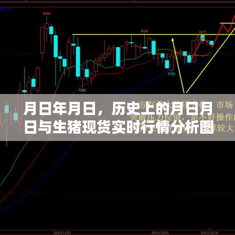 月日月日歷史背景與生豬現(xiàn)貨行情分析圖