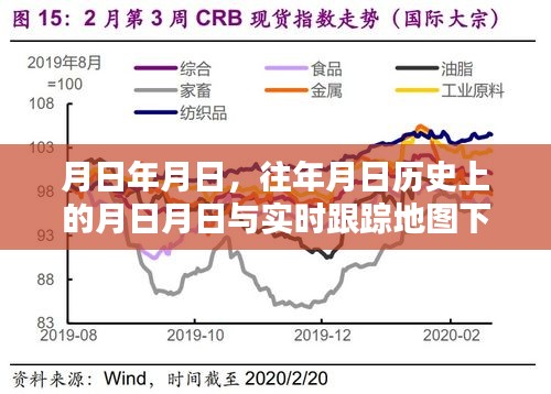 石獅疫情歷史回顧與實時跟蹤地圖下的最新動態(tài)