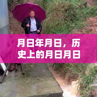 歷史上的月日月日與龍江河水位實時查詢報告