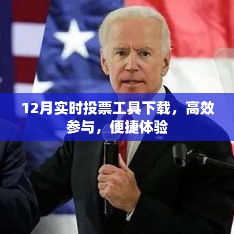 12月實(shí)時(shí)投票工具下載，高效便捷參與投票體驗(yàn)