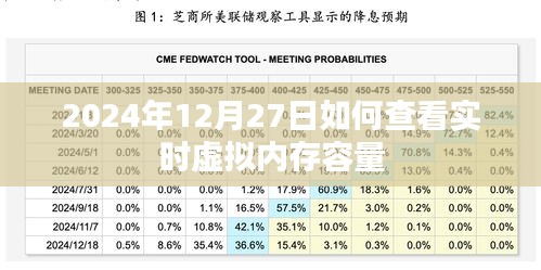 如何查看實(shí)時(shí)虛擬內(nèi)存容量，操作指南（日期標(biāo)注）