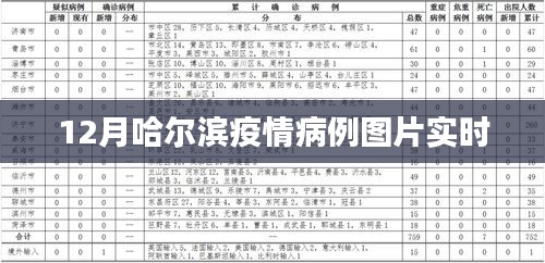 哈爾濱疫情病例圖片實時更新