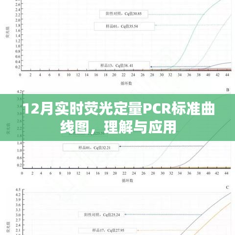 實(shí)時(shí)熒光定量PCR標(biāo)準(zhǔn)曲線圖詳解與應(yīng)用指南