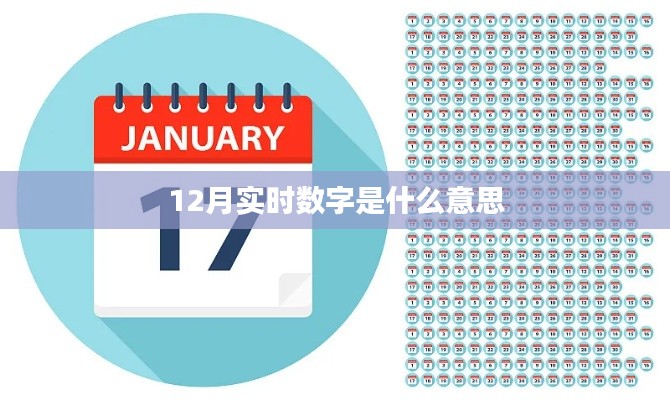 實時數(shù)據(jù)解讀，揭秘12月數(shù)字背后的真相