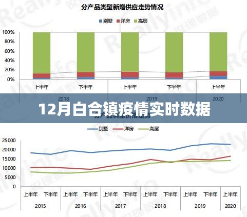白合鎮(zhèn)疫情實(shí)時(shí)數(shù)據(jù)報(bào)告，最新動(dòng)態(tài)與防控進(jìn)展