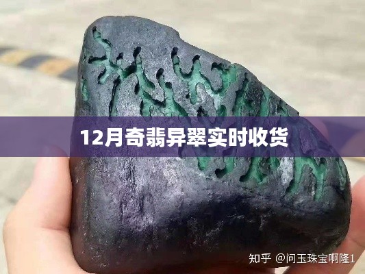 翡翠奇翠12月實時收貨概覽
