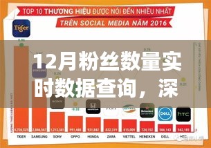 12月粉絲實(shí)時(shí)數(shù)據(jù)查詢，洞悉社交影響力