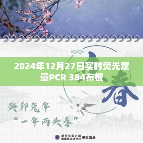 實時熒光定量PCR布板方案，2024年12月27日384布板詳解
