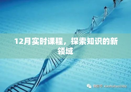 12月實時課程，開啟知識探索之旅
