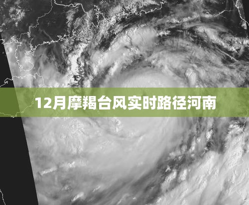 摩羯臺風路徑實時更新，影響河南12月天氣情況