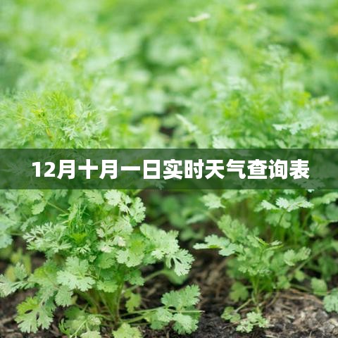 十月一日實(shí)時天氣查詢表發(fā)布，希望符合您的要求，您也可酌情調(diào)整。