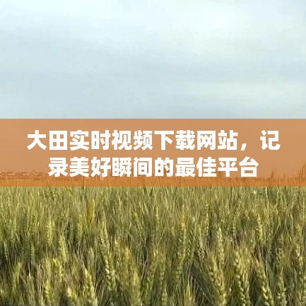 大田實時視頻下載，記錄美好瞬間的首選平臺