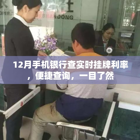 張燈結(jié)彩 第3頁