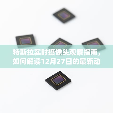 特斯拉最新動態(tài)解讀，實(shí)時攝像頭觀察指南
