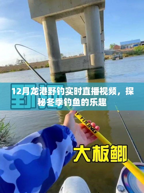 攛哄鳥亂 第3頁