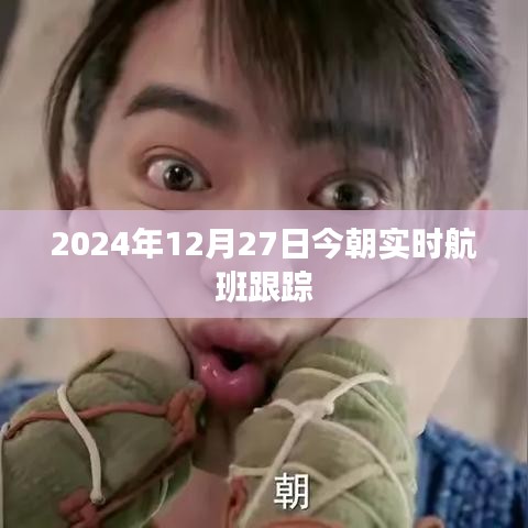 2024年12月27日全球航班實時跟蹤信息，符合您的字?jǐn)?shù)要求，同時能夠準(zhǔn)確地反映文章的內(nèi)容，有利于吸引用戶點擊和閱讀。