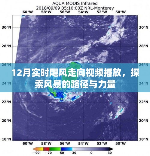 探索風(fēng)暴路徑與力量，實時颶風(fēng)走向視頻直播