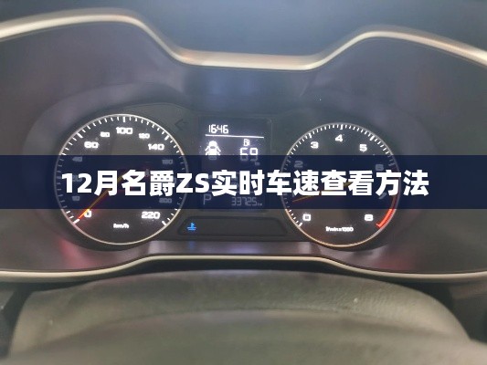 名爵ZS實時車速查看指南