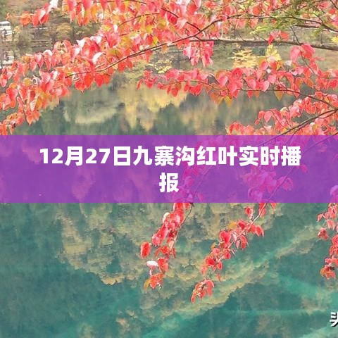 九寨溝紅葉實(shí)拍，冬日絢爛依舊