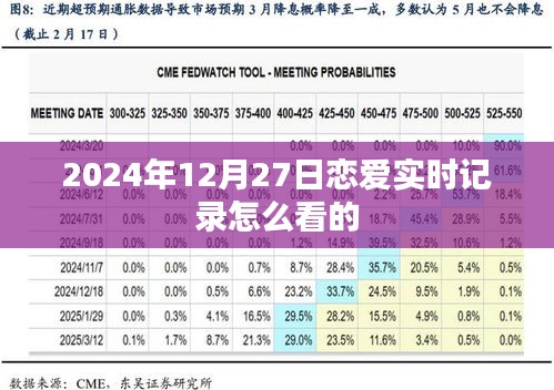 關于戀愛實時記錄的查看指南，2024年12月27日篇