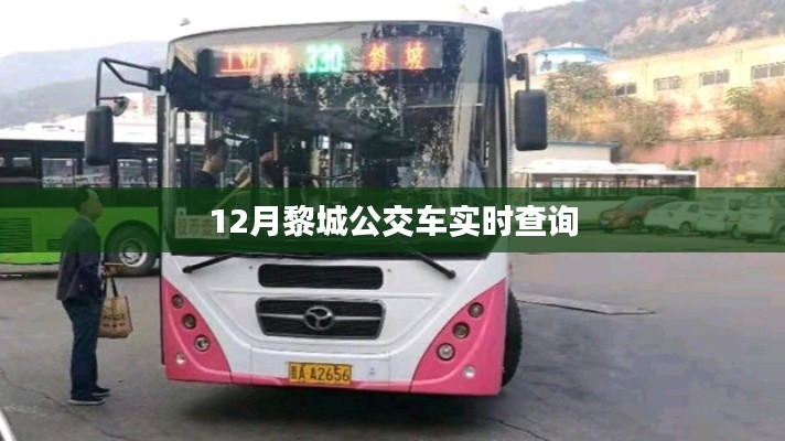 黎城公交實(shí)時(shí)查詢系統(tǒng)，掌握最新公交動(dòng)態(tài)
