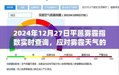 平邑霧霾指數(shù)實(shí)時(shí)查詢，應(yīng)對霧霾天氣的策略與行動(dòng)指南