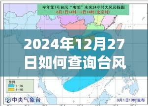 臺(tái)風(fēng)實(shí)時(shí)路徑查詢(xún)指南，如何查看2024年臺(tái)風(fēng)動(dòng)態(tài)路徑