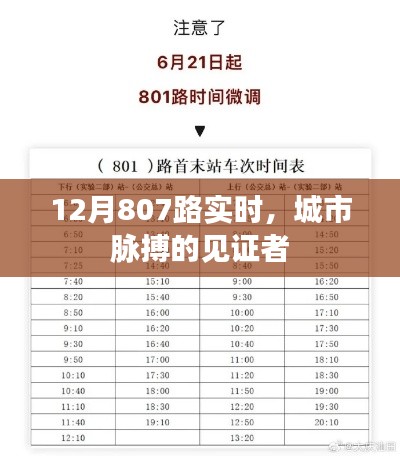 城市脈搏見證者，12月807路實(shí)時(shí)動態(tài)