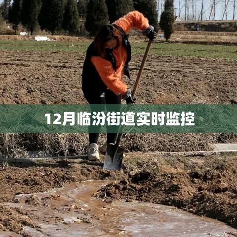 臨汾街道實時監(jiān)控系統(tǒng)觀察