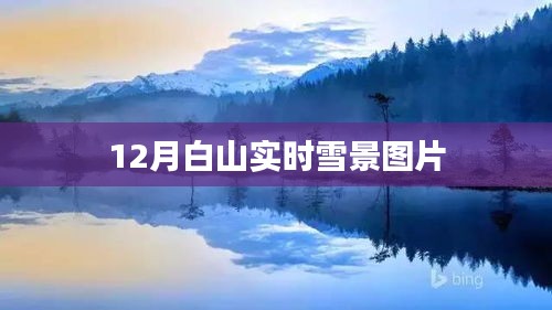 白山實(shí)時(shí)雪景圖片分享