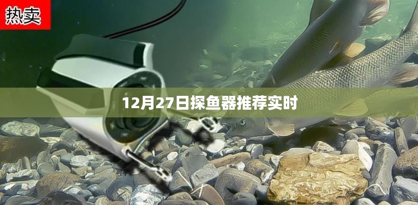探魚器推薦榜單（實(shí)時(shí)更新）