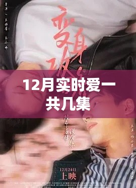 實(shí)時(shí)愛(ài)12月版集數(shù)揭秘