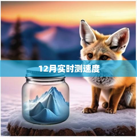 12月最新網(wǎng)速實(shí)時(shí)測(cè)試報(bào)告