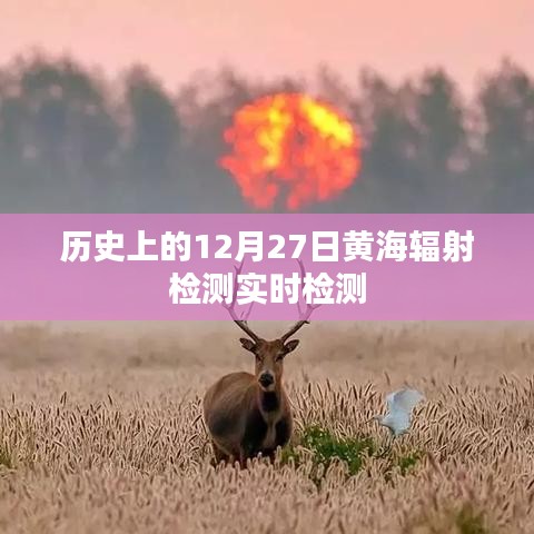黃海輻射檢測(cè)實(shí)時(shí)檢測(cè)歷程，回望歷史上的重要時(shí)刻