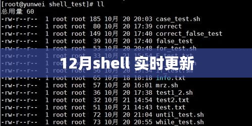 12月Shell實(shí)時(shí)更新詳解