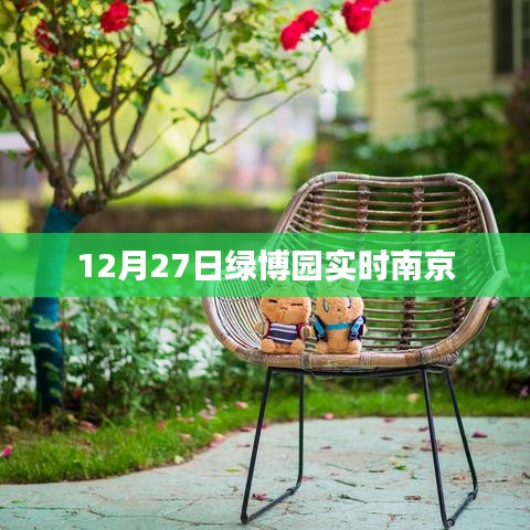 南京綠博園12月27日實時資訊