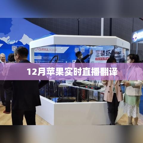 蘋果直播翻譯實況 12月在線解讀