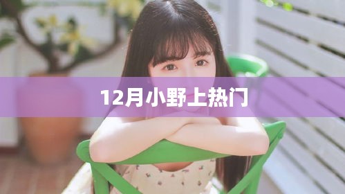 12月小野成焦點熱議話題