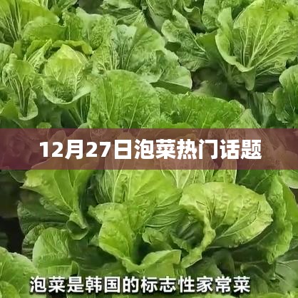 12月27日泡菜熱議話題盤點
