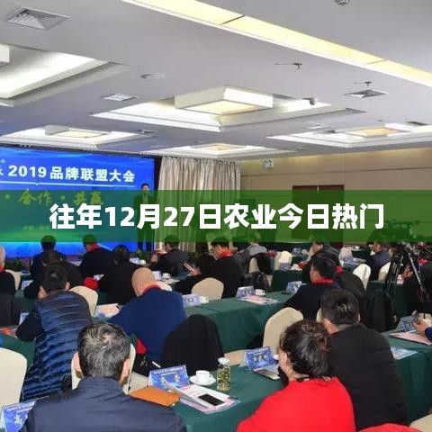 農(nóng)業(yè)熱點(diǎn)聚焦，歷年十二月二十七日熱門話題盤點(diǎn)