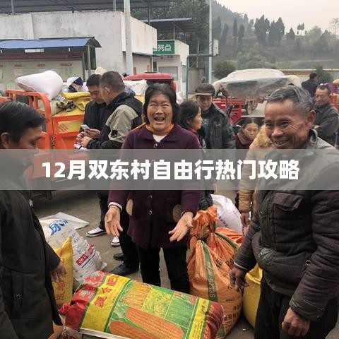 雙東村自由行指南，十二月熱門攻略