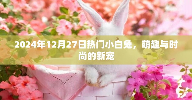 2024年時尚新寵，小白兔的萌趣時尚之旅