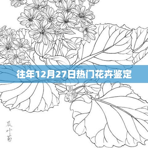 往年12月27日熱門花卉品種鑒定與賞析