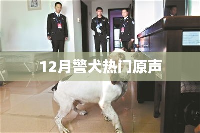 警犬熱門(mén)原聲揭秘，探秘警犬世界的秘密