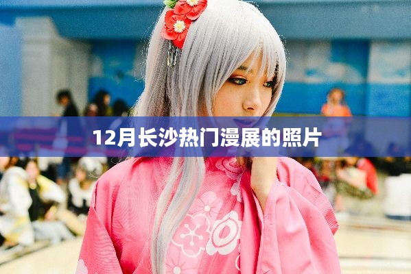長沙十二月漫展盛況照片