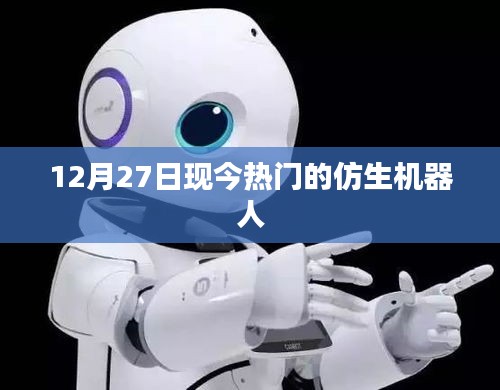 12月27日，仿生機器人的最新熱門趨勢