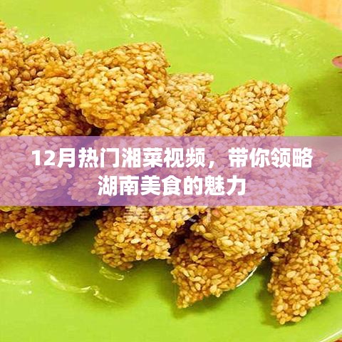 湘菜美食視頻來襲，領(lǐng)略湖南風(fēng)味魅力