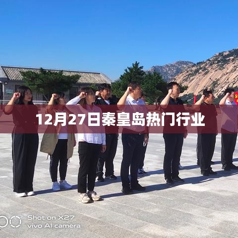 秦皇島熱門(mén)行業(yè)概覽，聚焦十二月二十七日動(dòng)態(tài)